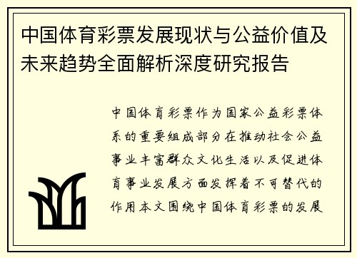 中国体育彩票发展现状与公益价值及未来趋势全面解析深度研究报告